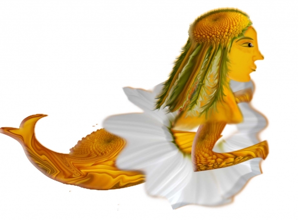 Creation of Daisy fairy: Step 5